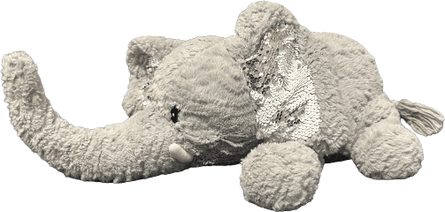 Grey plush elephant named Tavi